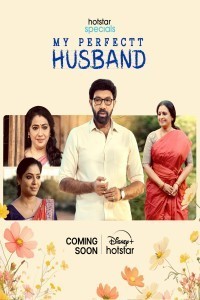 My Perfectt Husband (2024) Season 1 Telugu Web Series